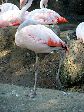 49_2004-1012-1611-00A-EM.jpg